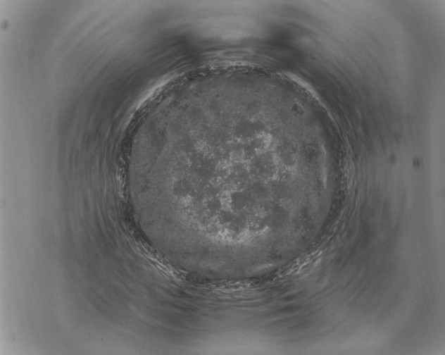 X0000071860823200607141813