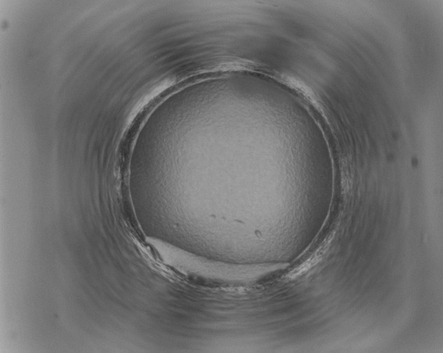 X0000071860827200607141813