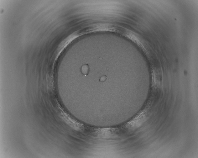 X0000071860828200607141813