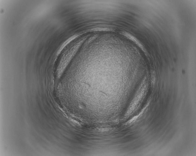 X0000071860829200607141813