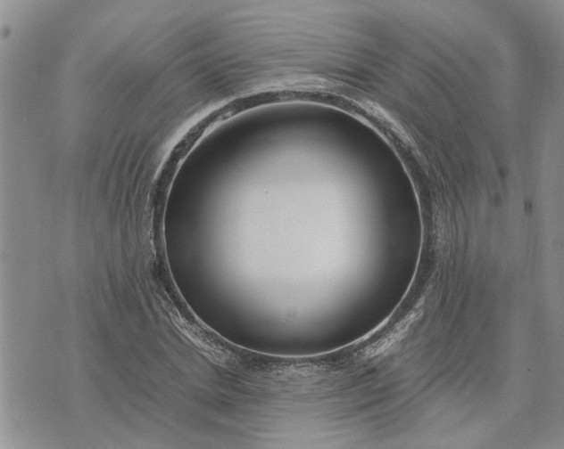 X0000071860830200607141813