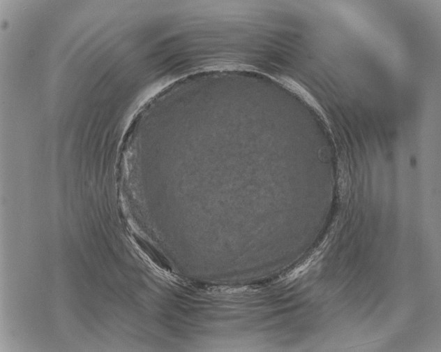 X0000071860831200607141813