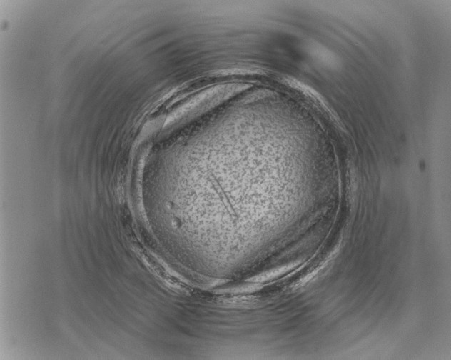 X0000071860833200607141813