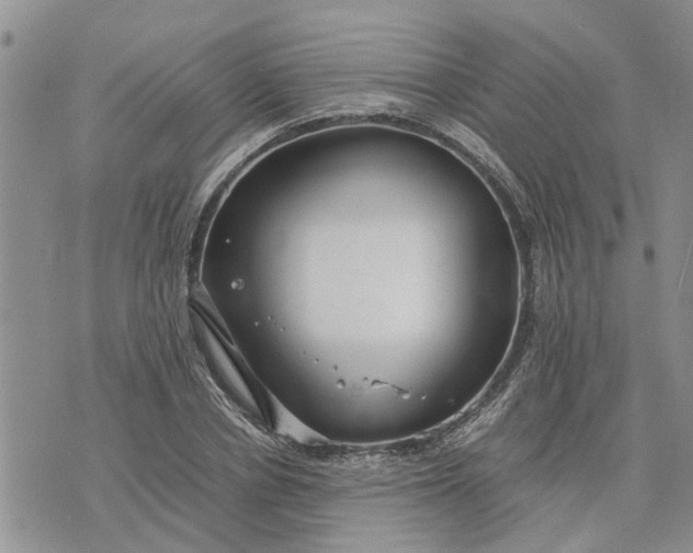 X0000071860834200607141813