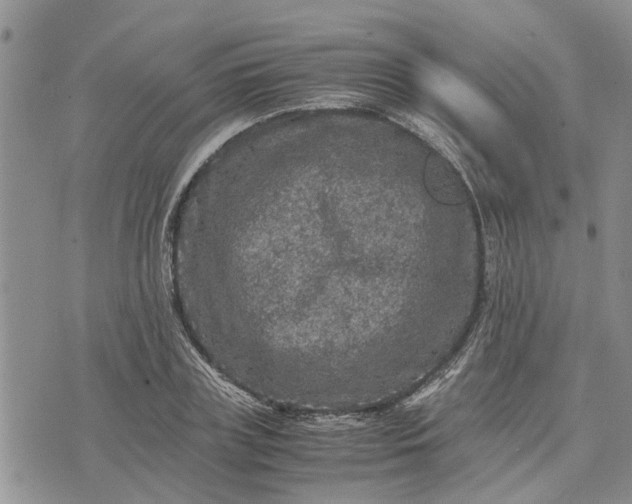 X0000071860835200607141813