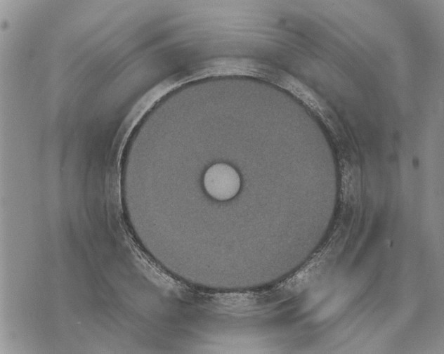 X0000071860836200607141813