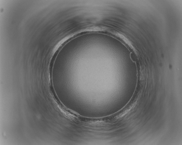 X0000071860837200607141813