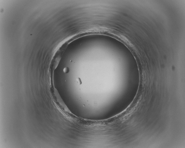 X0000071860838200607141813