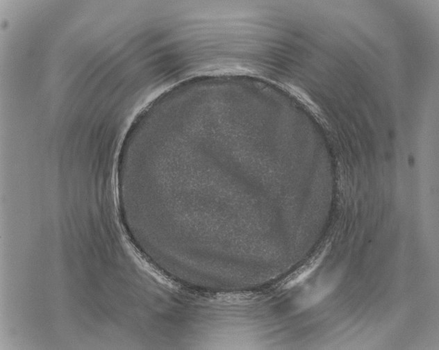 X0000071860840200607141813