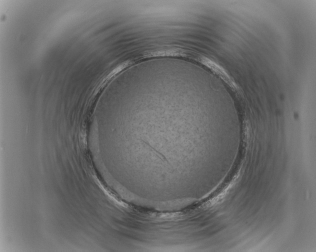 X0000071860841200607141813