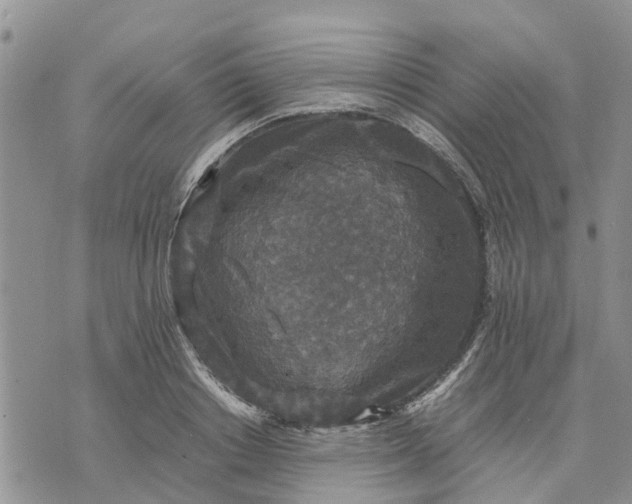 X0000071860842200607141813