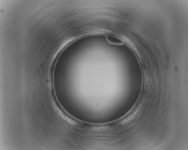 X0000071860843200607141813