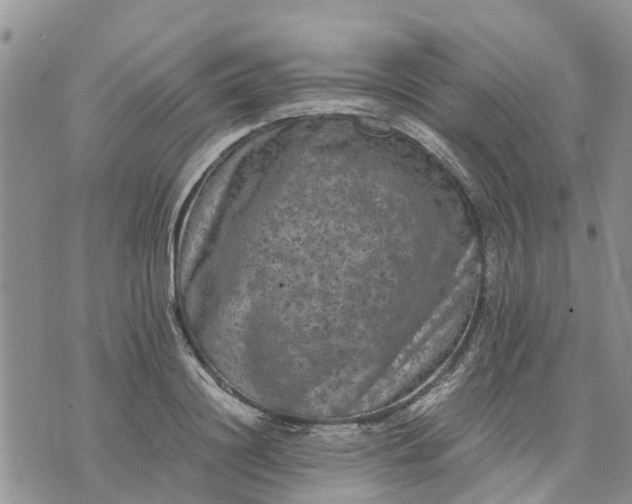 X0000071860844200607141813