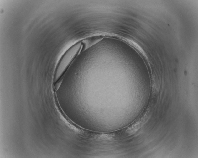 X0000071860847200607141813