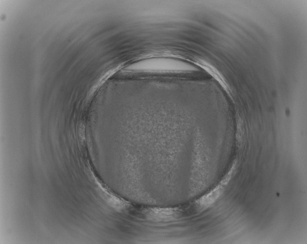 X0000071860849200607141813