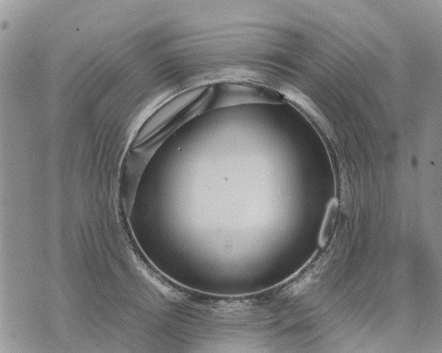 X0000071860850200607141813