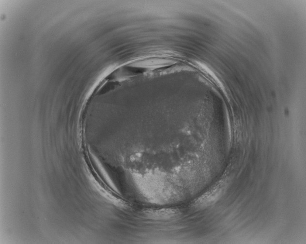 X0000071860851200607141813