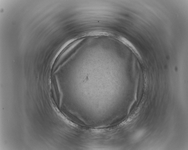 X0000071860852200607141813