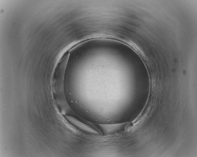 X0000071860854200607141813