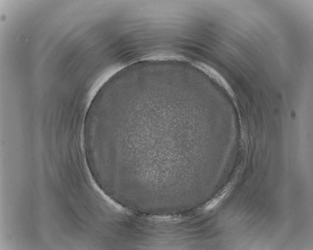 X0000071860855200607141813