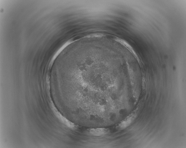 X0000071860859200607141813