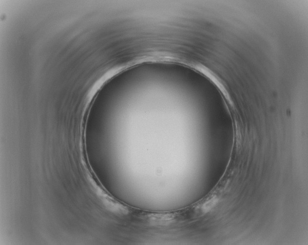 X0000071860861200607141813