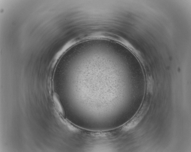 X0000071860862200607141813