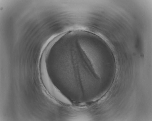 X0000071860864200607141813