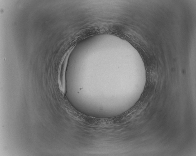 X0000071860865200607141813