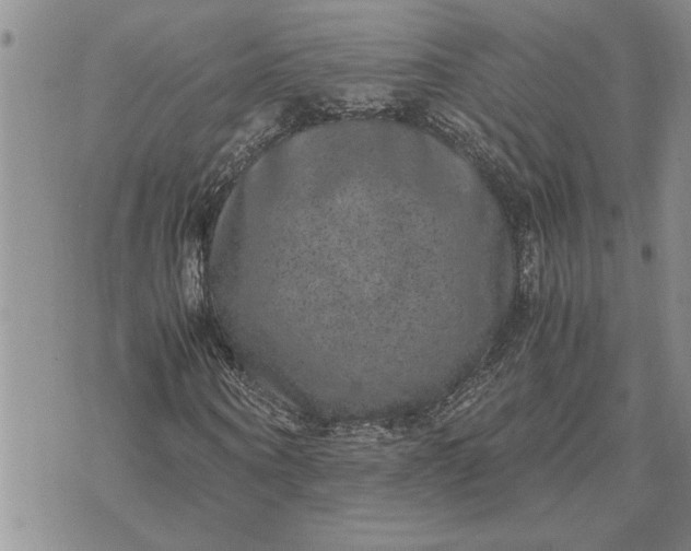 X0000071860866200607141813