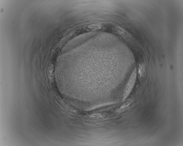 X0000071860867200607141813