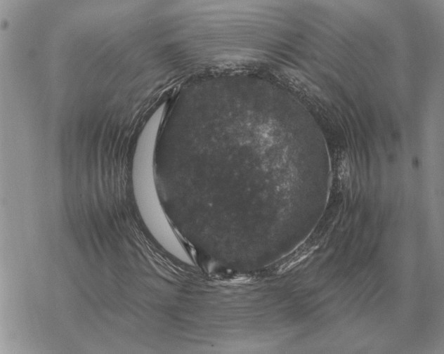 X0000071860868200607141813