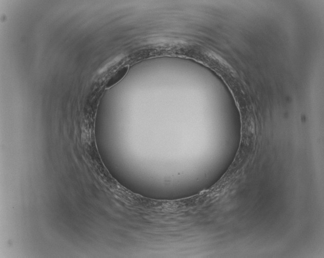 X0000071860869200607141813