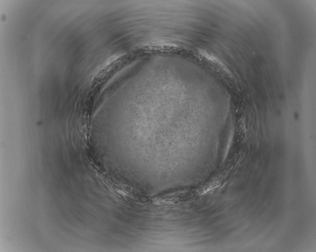 X0000071860870200607141812