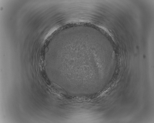 X0000071860871200607141812