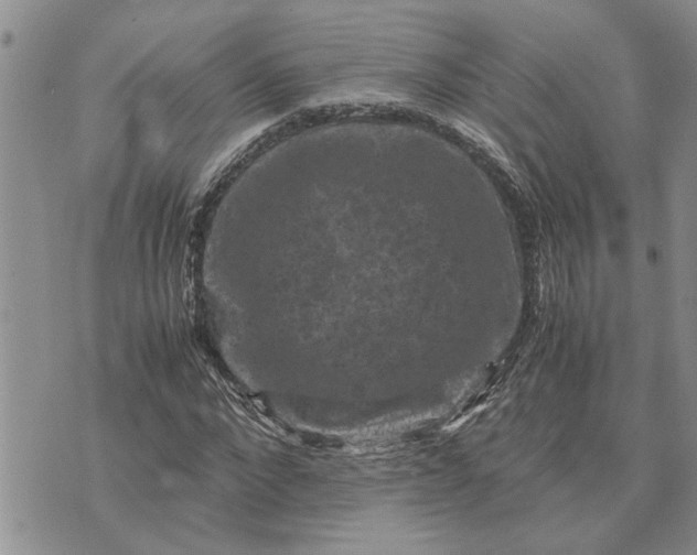 X0000071860872200607141812