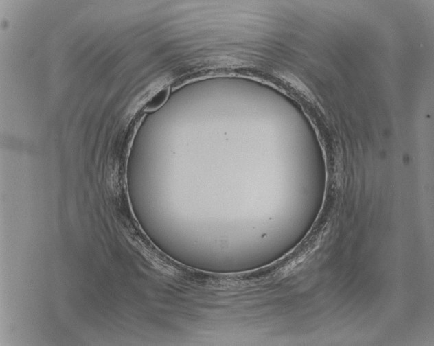 X0000071860873200607141812