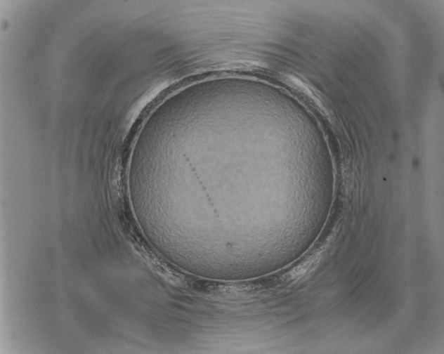 X0000071860875200607141812