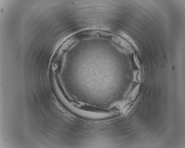 X0000071860876200607141812