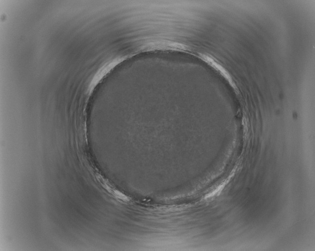 X0000071860877200607141812