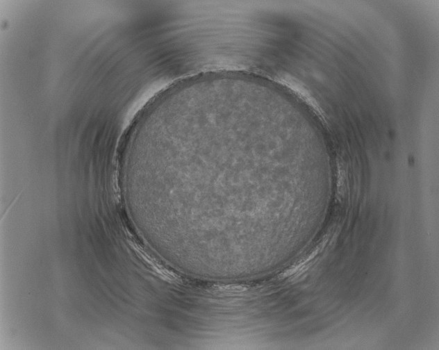 X0000071860878200607141812