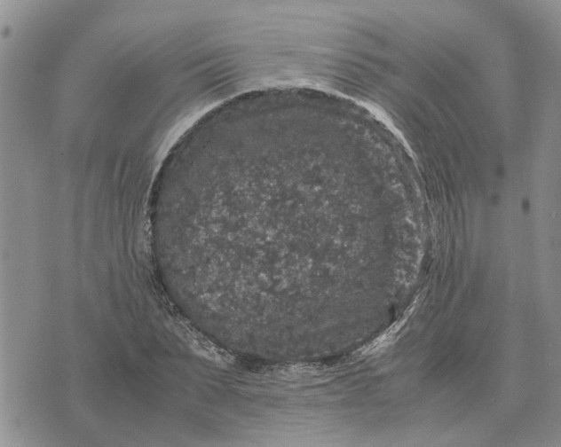 X0000071860879200607141812