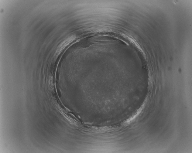 X0000071860881200607141812