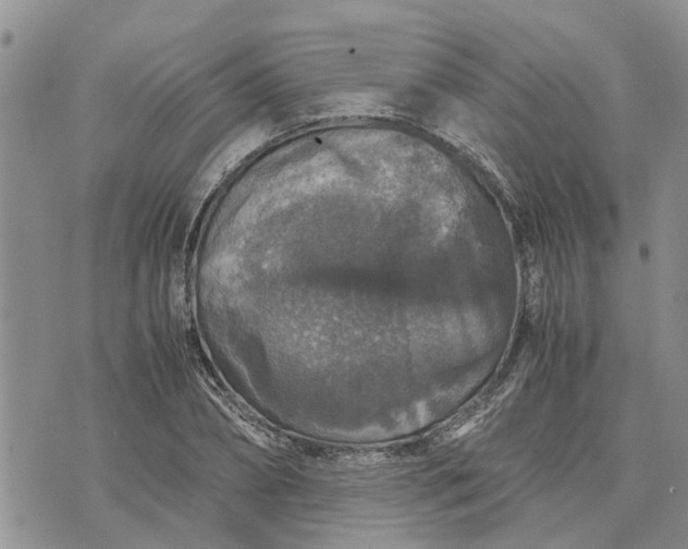 X0000071860882200607141812