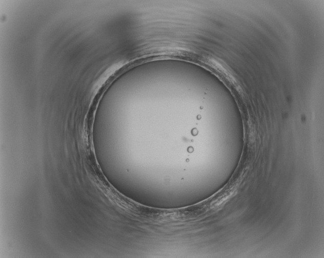 X0000071860883200607141812