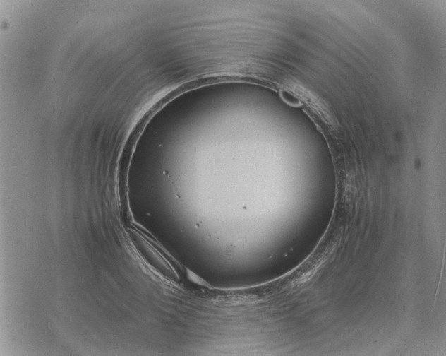 X0000071860884200607141812