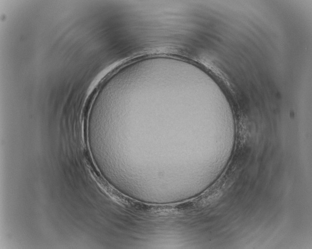 X0000071860886200607141812