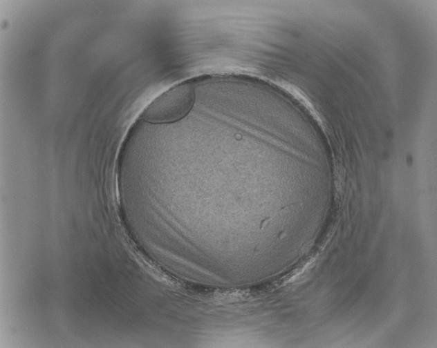 X0000071860887200607141812