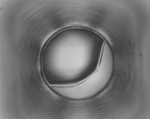 X0000071860888200607141812