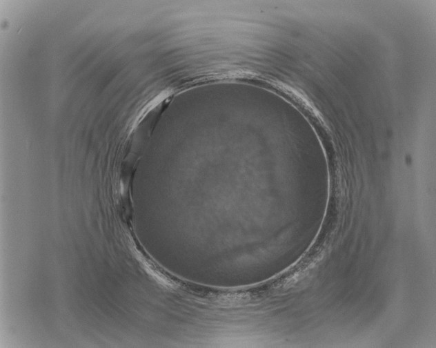 X0000071860889200607141812